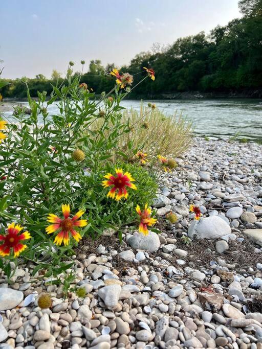 The River Haven - Sleeps 32 - On Guadalupe River Seguin Kültér fotó